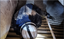 标题：内蒙古特检院呼伦贝尔分院助力蒙西水泥有限公司安全生产
浏览次数：91
发表时间：2025-03-25