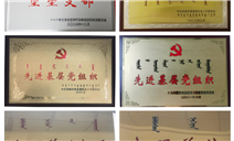 标题：以融合党建新模式 引领特检事业高质量发展——赤峰分院党群工作部
浏览次数：165
发表时间：2025-05-15