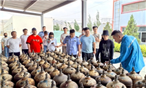 标题：特种设备安全宣传，乌海分院在行动
浏览次数：99
发表时间：2025-06-20