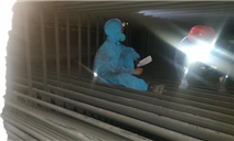 标题:坚守保生产·服务不停步
乌海分院圆满完成广聚新材料5号锅炉检验
浏览次数:65
发表时间:2025-10-24