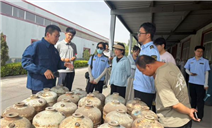 标题：乌海市市场监管局组织三区监管人员赴气瓶检验基地观摩学习
浏览次数：991
发表时间：2026-06-26